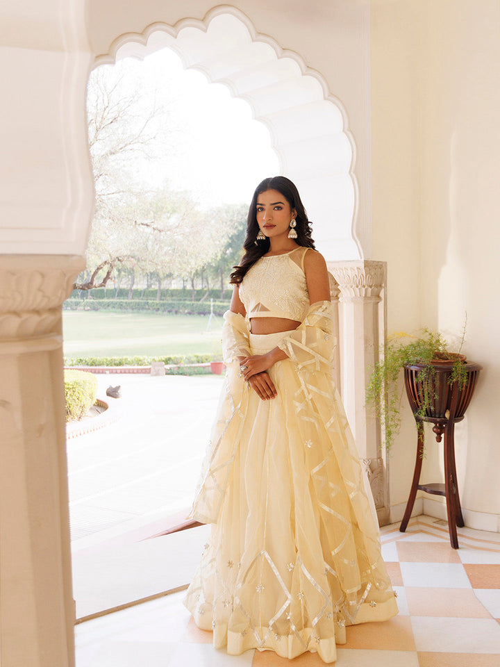 Petal Yellow Organza Lehenga Set  - By Ragavi - qivii