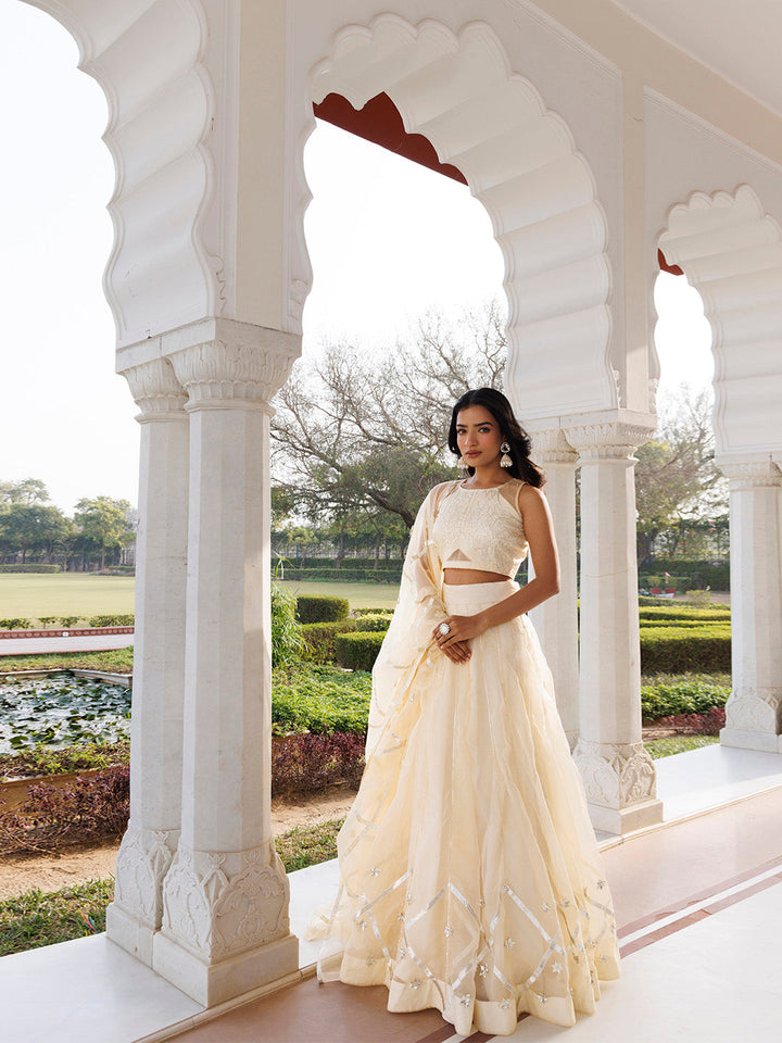 Petal Yellow Organza Lehenga Set  - By Ragavi - qivii