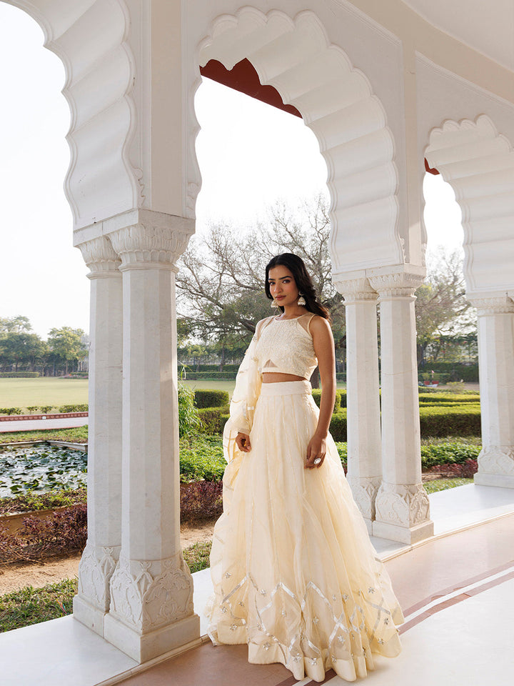 Petal Yellow Organza Lehenga Set  - By Ragavi - qivii