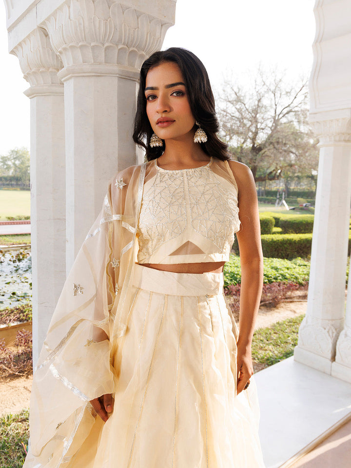 Petal Yellow Organza Lehenga Set  - By Ragavi - qivii