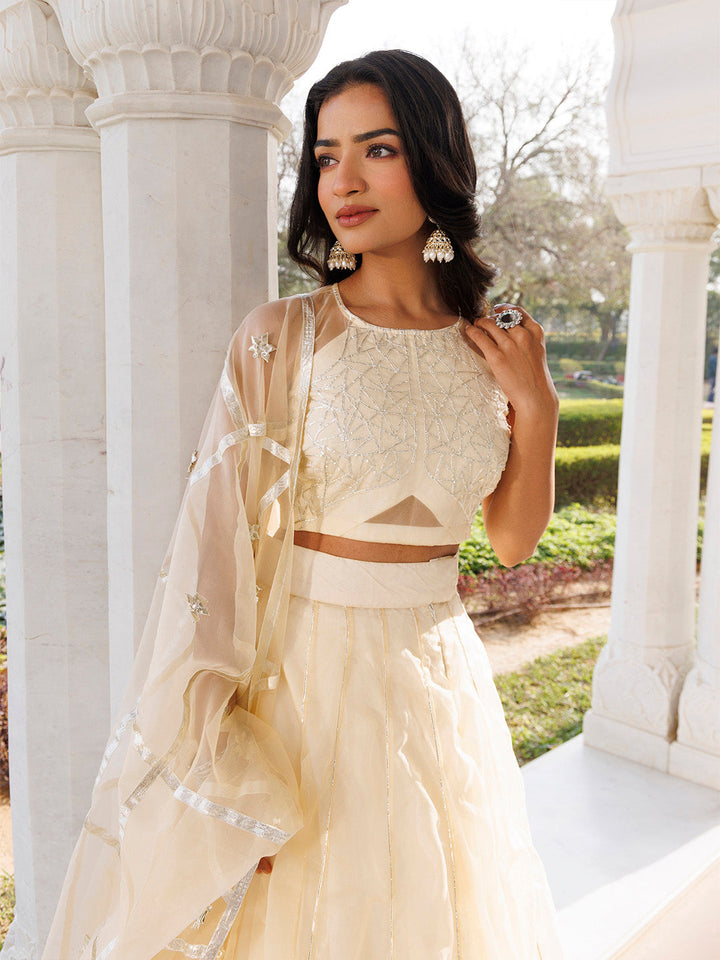 Petal Yellow Organza Lehenga Set  - By Ragavi - qivii