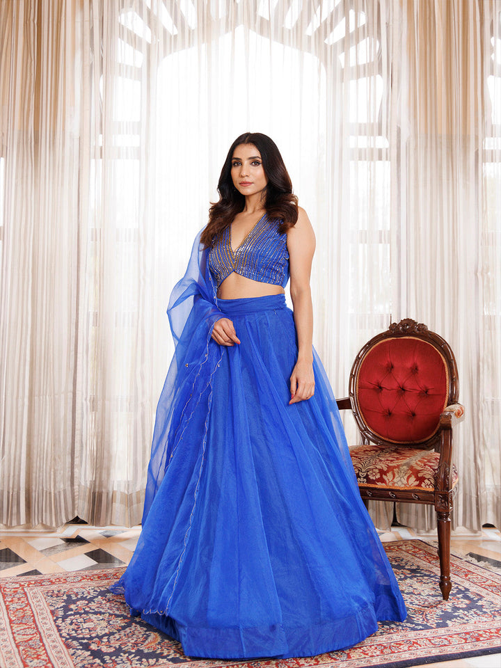 Dazzle Blue Organza Lehenga Set  - By Ragavi - qivii