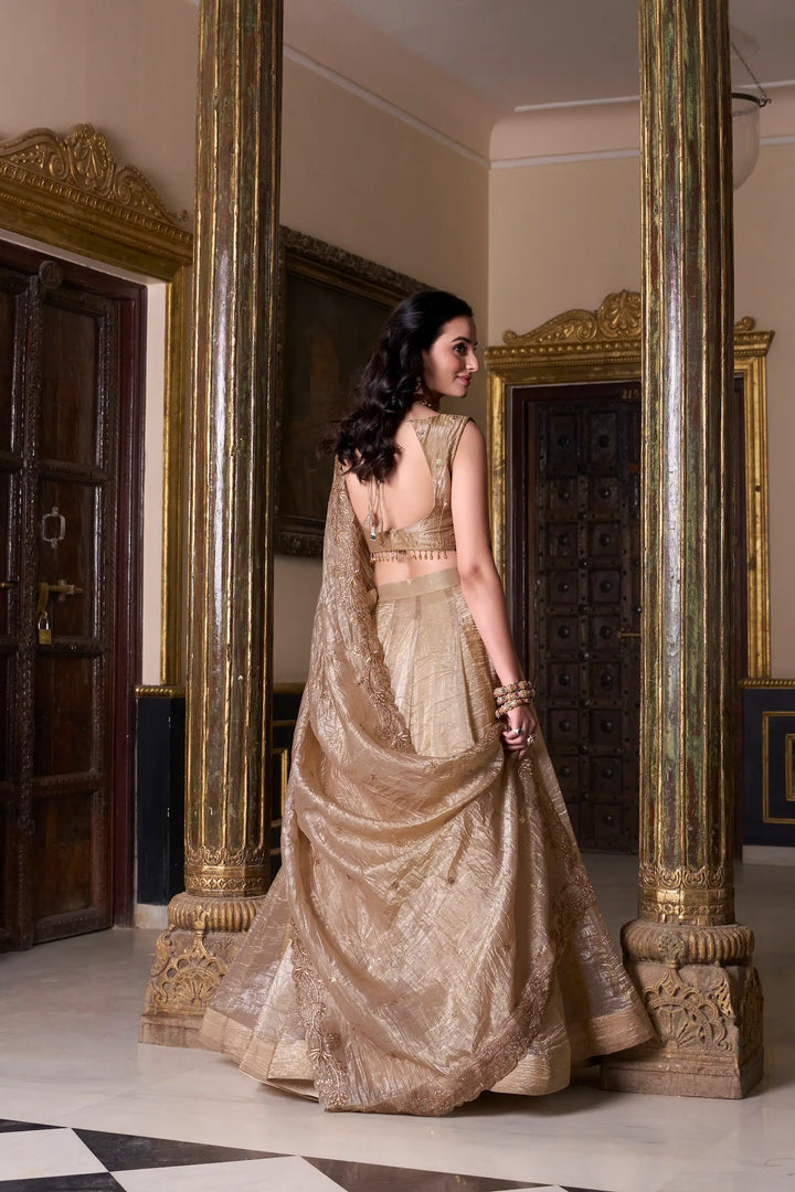 Dark Beige Crush Sequence & Thread Embroidery Lehenga Choli - qivii