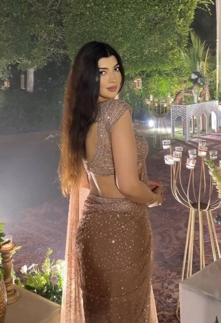 Brown Net saree with sequins & dori work - INSPIRED - qivii