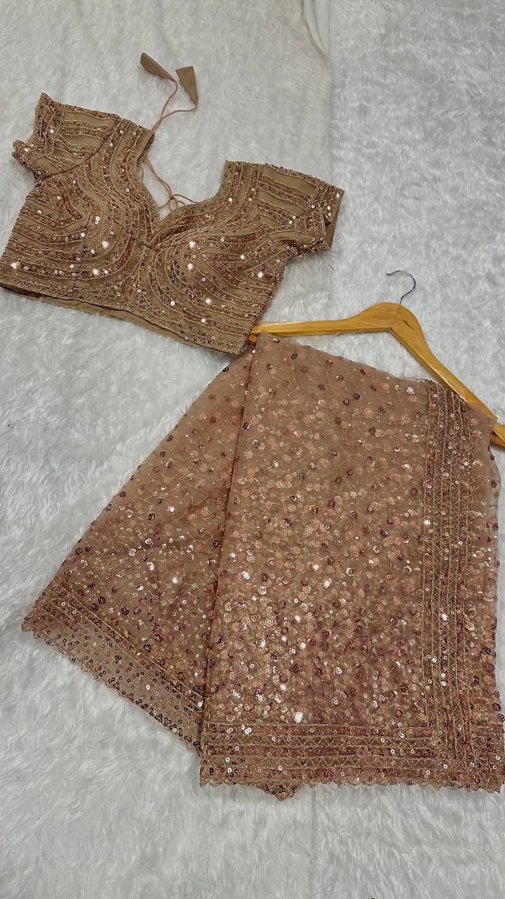 Brown Net saree with sequins & dori work - INSPIRED - qivii