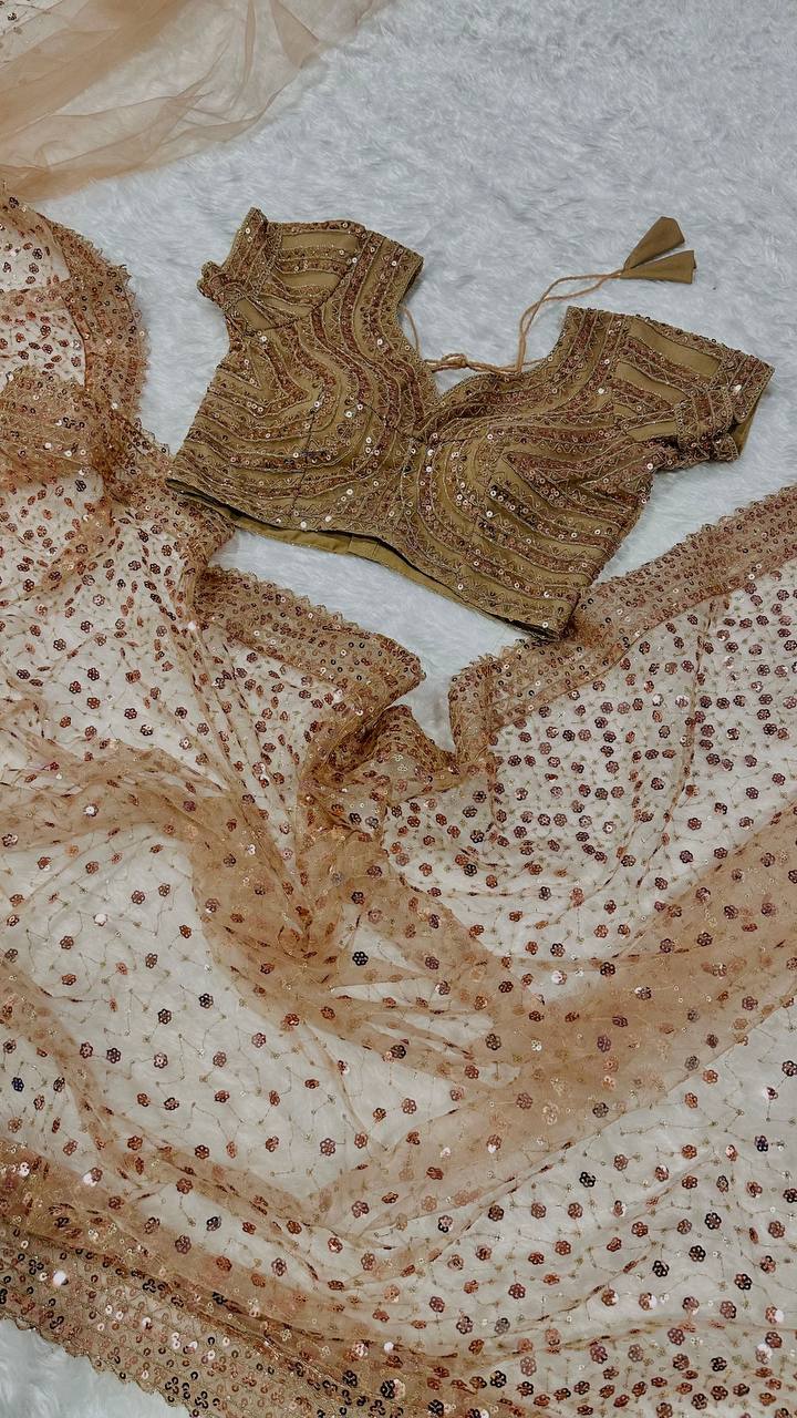 Brown Net saree with sequins & dori work - INSPIRED - qivii