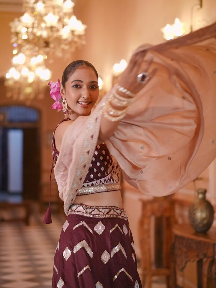 BROWN - Silk Fabric Sequins embroidery Semi-Stitched Lehenga & Unstitched Blouse With Dupatta